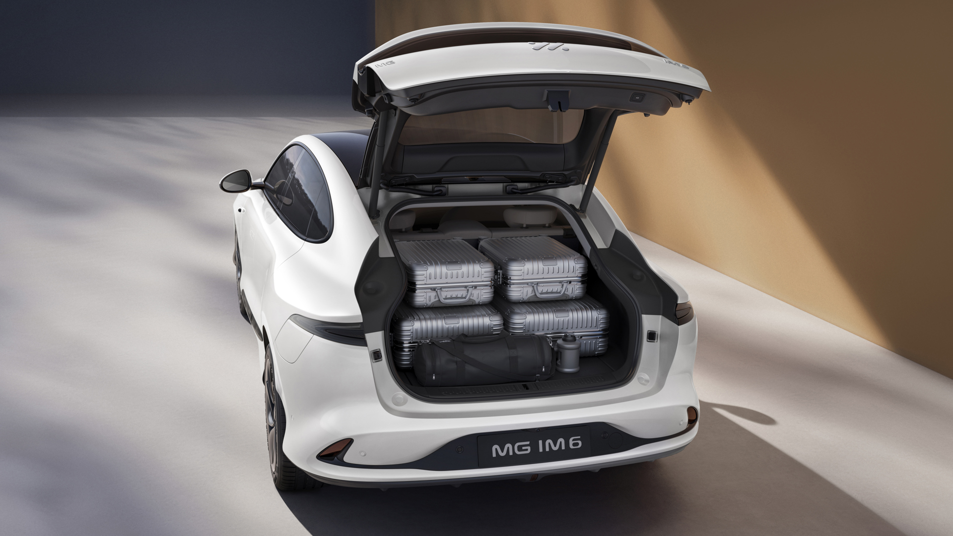 image_Trunk With Luggage White 拷贝